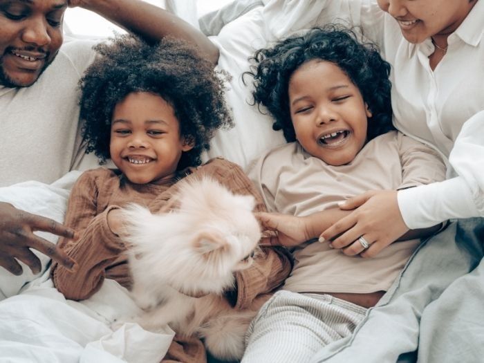 Constelação Familiar em Alagoa