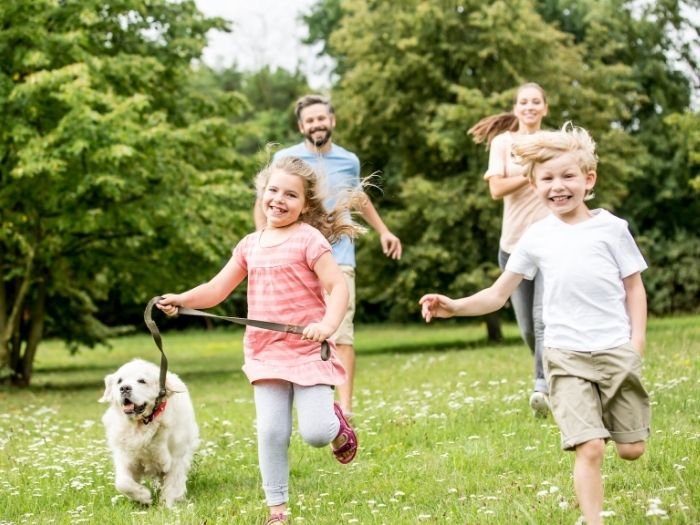 Constelação Familiar em Itinga do Maranhão