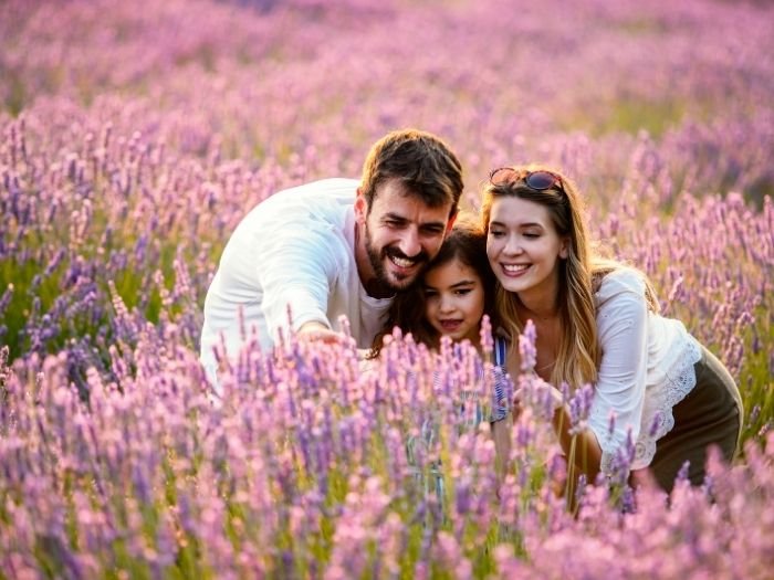 Constelação Familiar em Rolândia PR